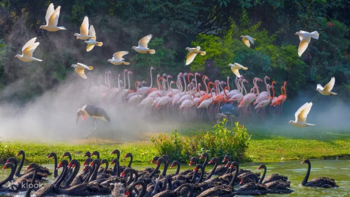 Chimelong Birds Park