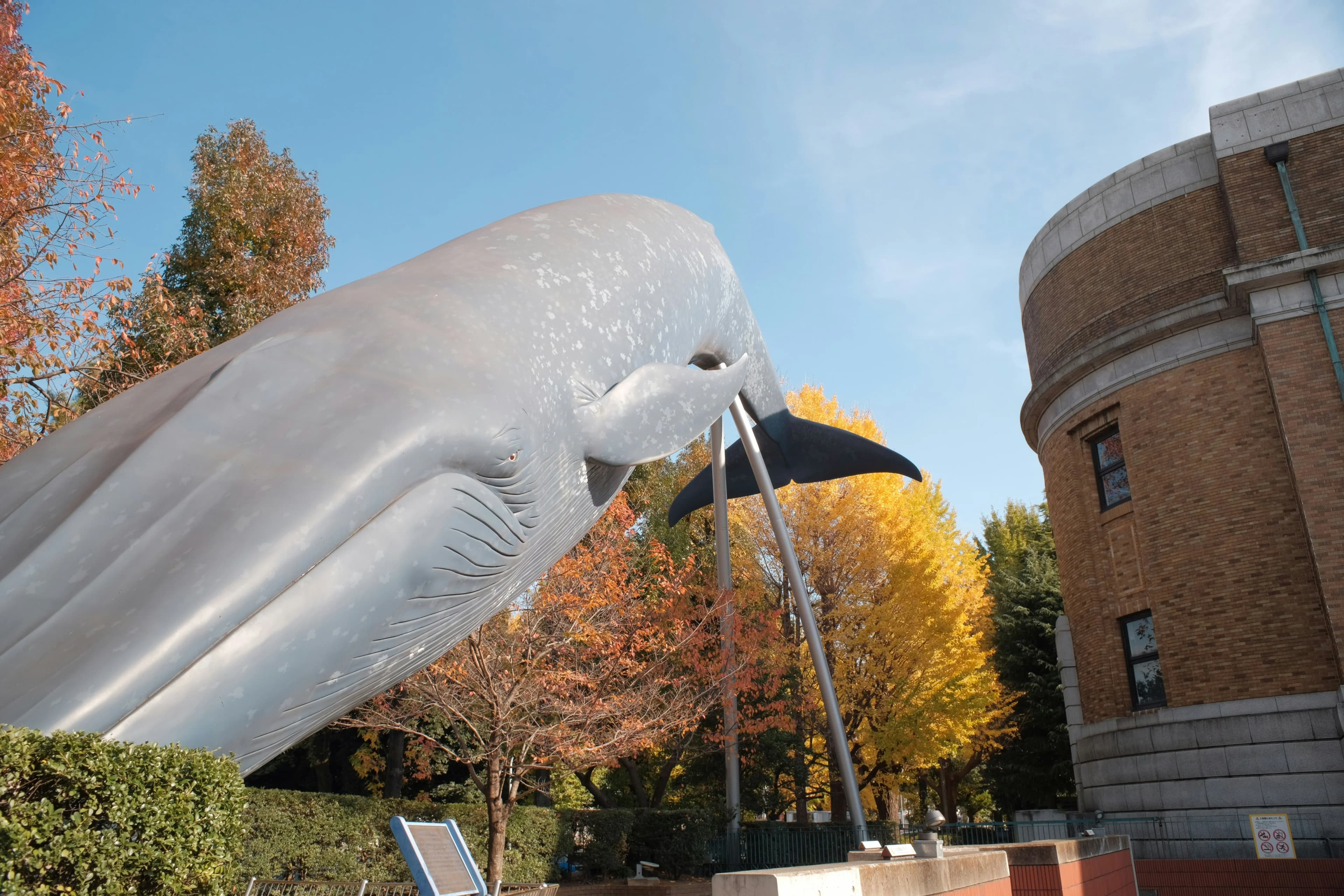 National Museum of Nature and Science