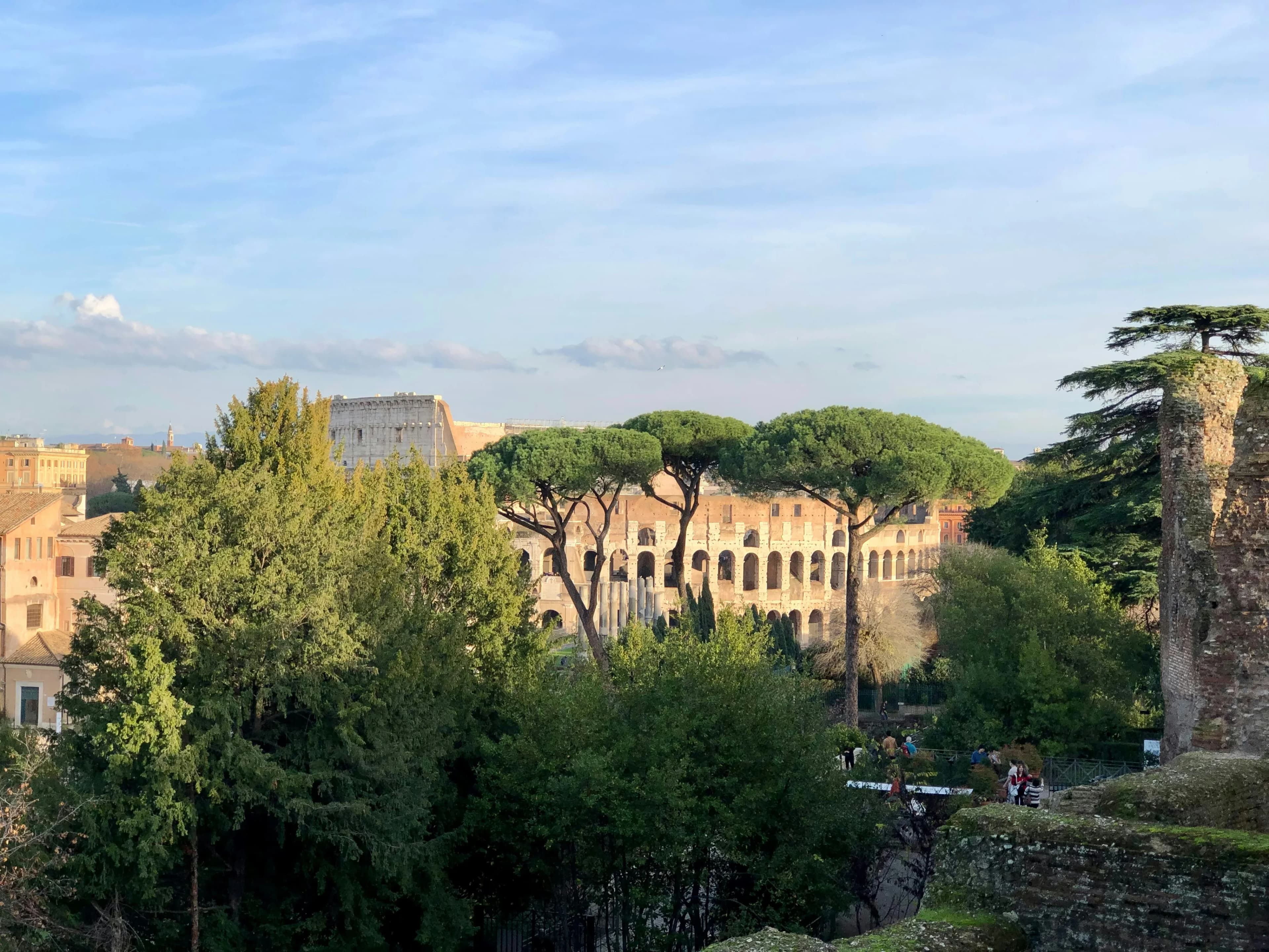 Roman Forum & Palatine Hill