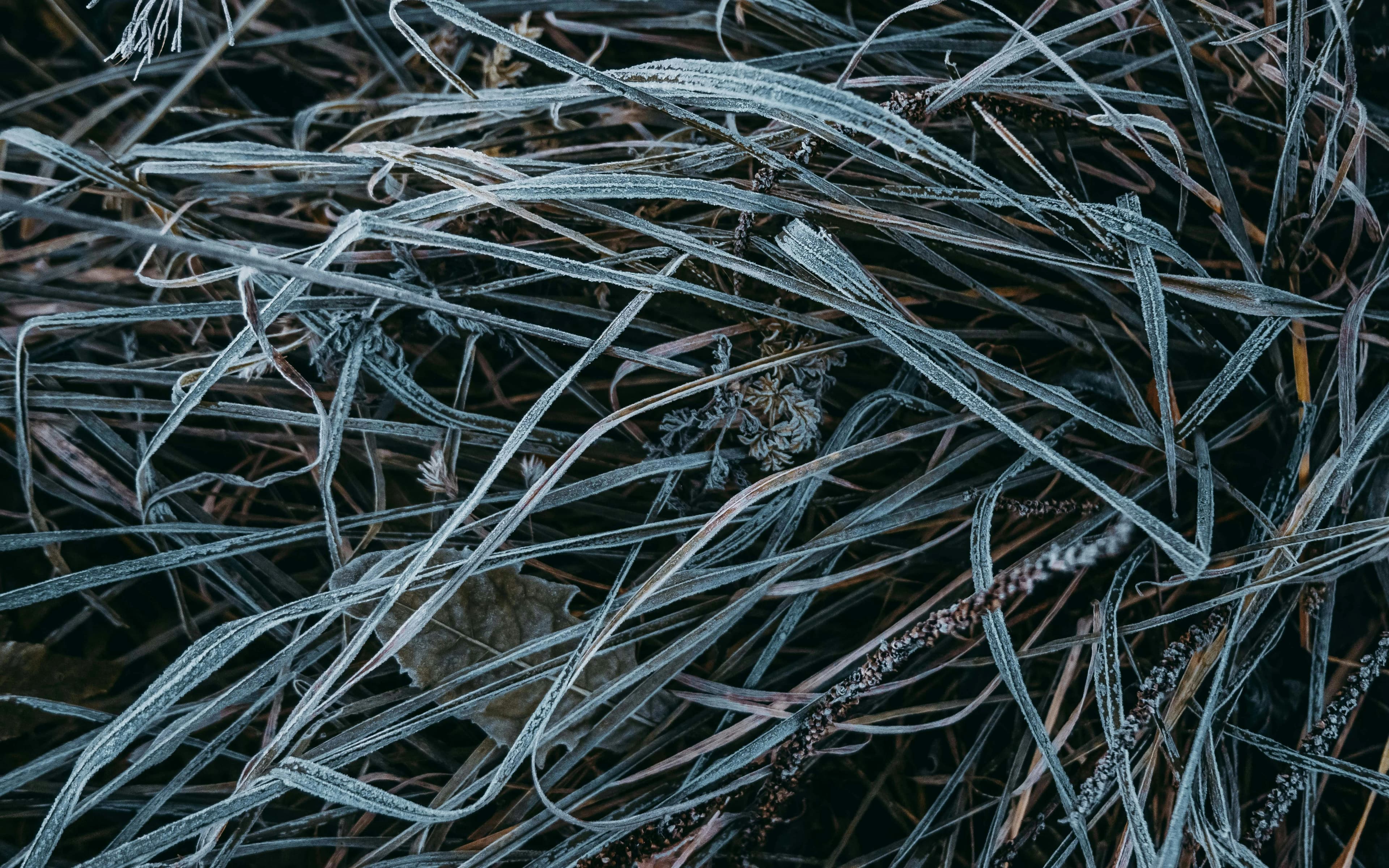 EPIC The Irish Emigration Museum