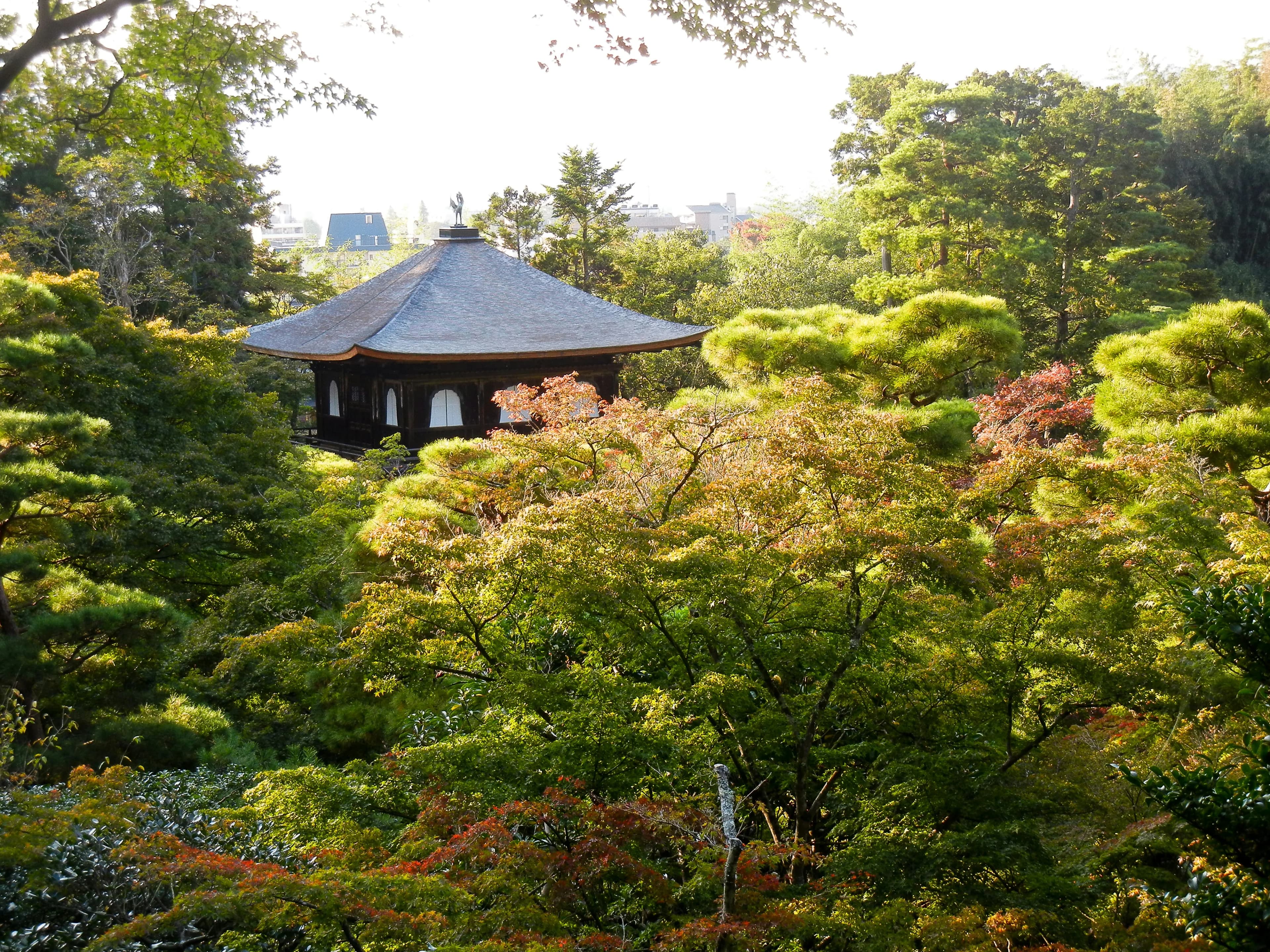 Ginkaku-ji (Silver Pavilion)