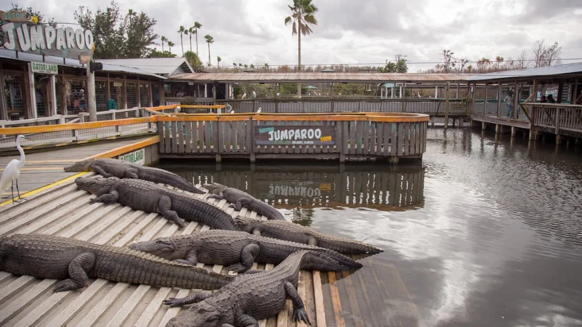 Gatorland