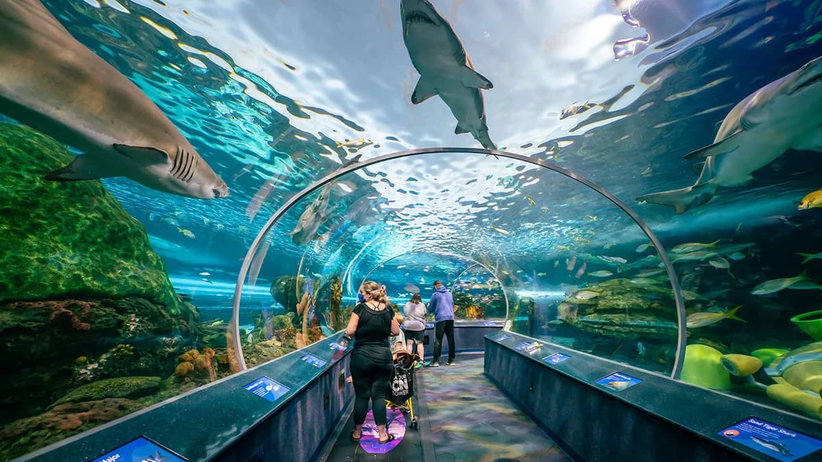 Ripley’s Aquarium of Canada