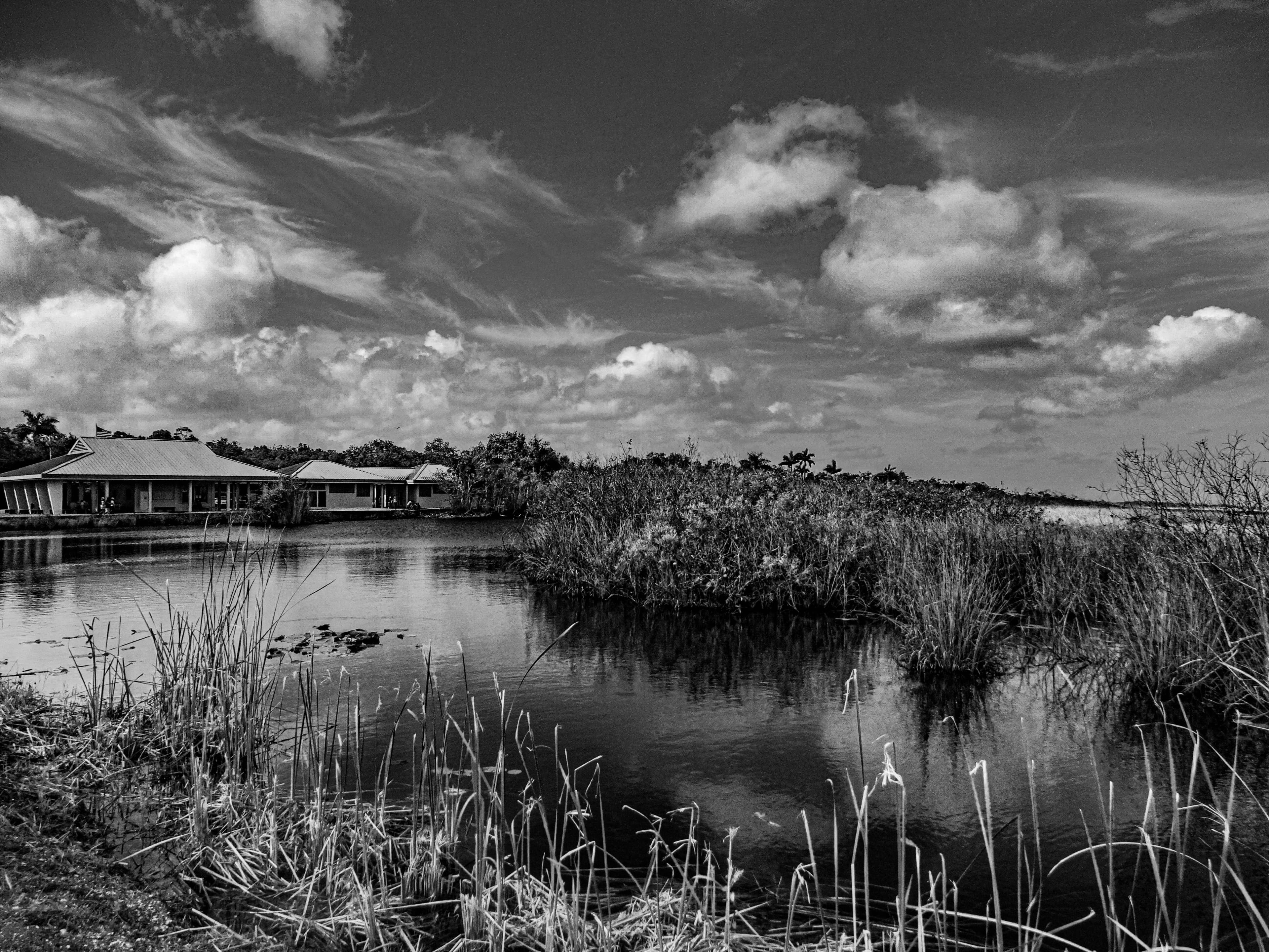 Everglades airboat tours