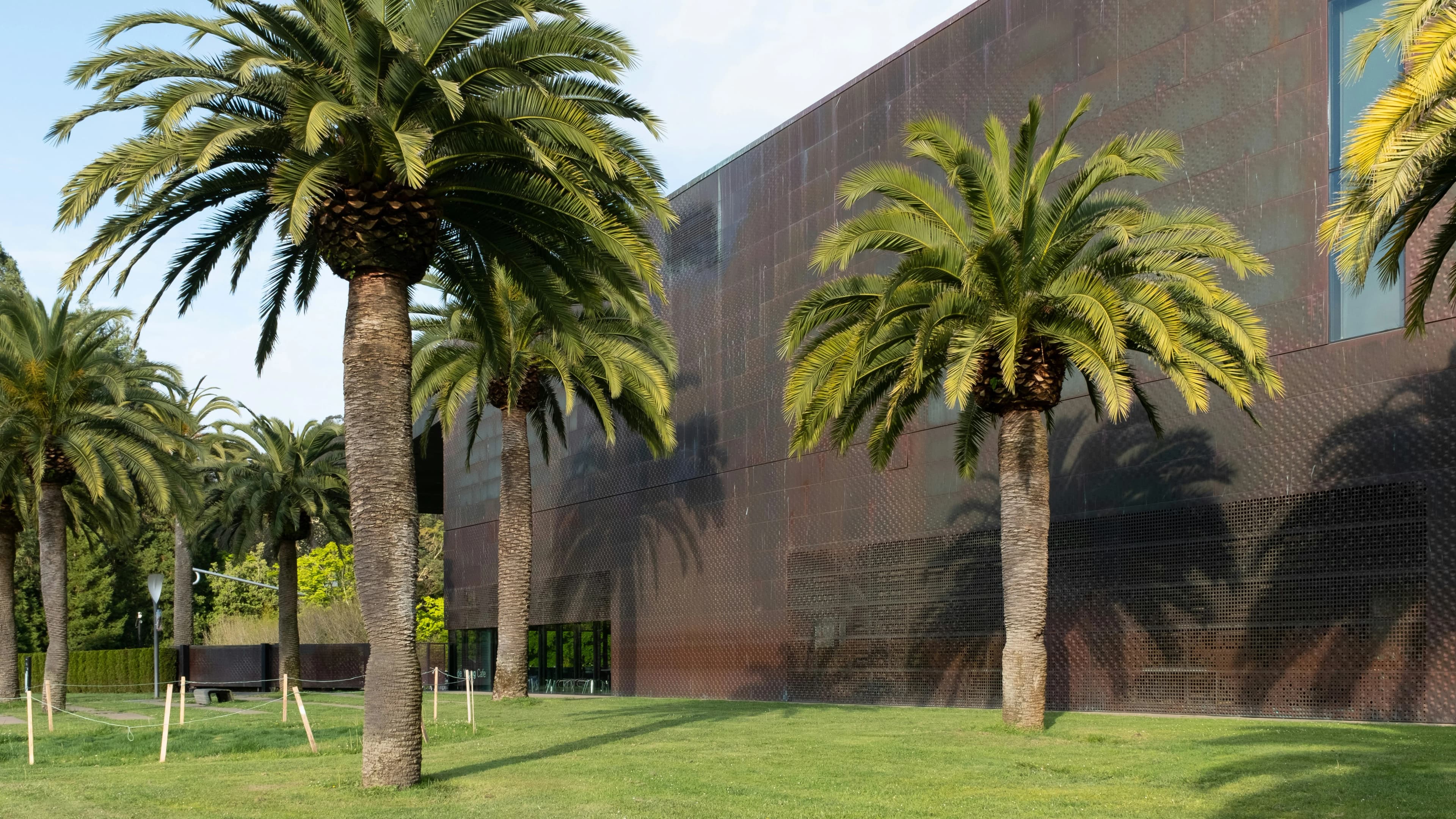 de Young Museum