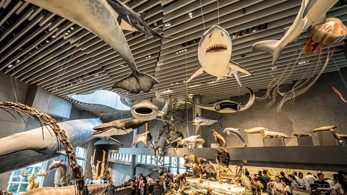 Shanghai Natural History Museum