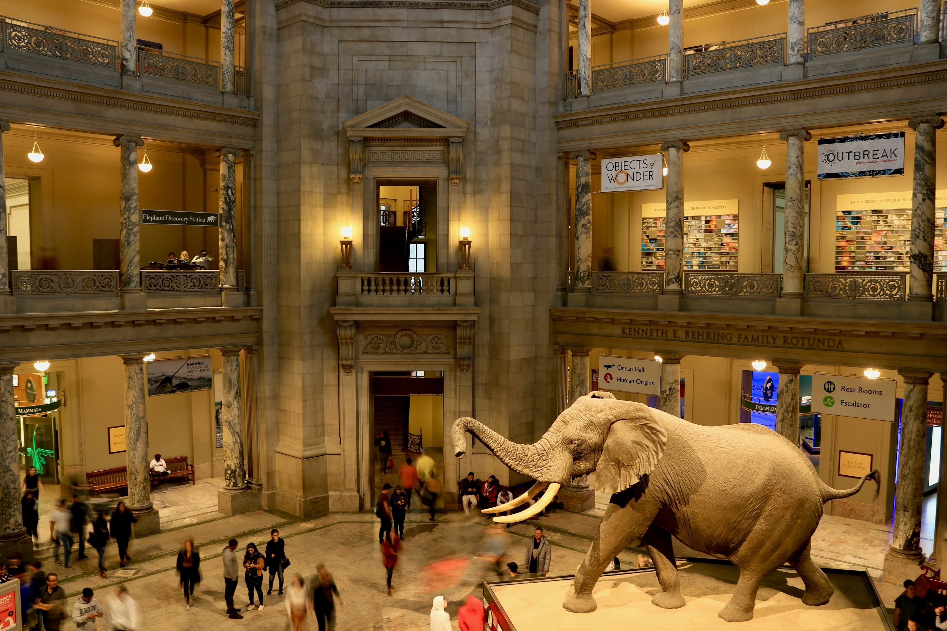 National Museum of Natural History