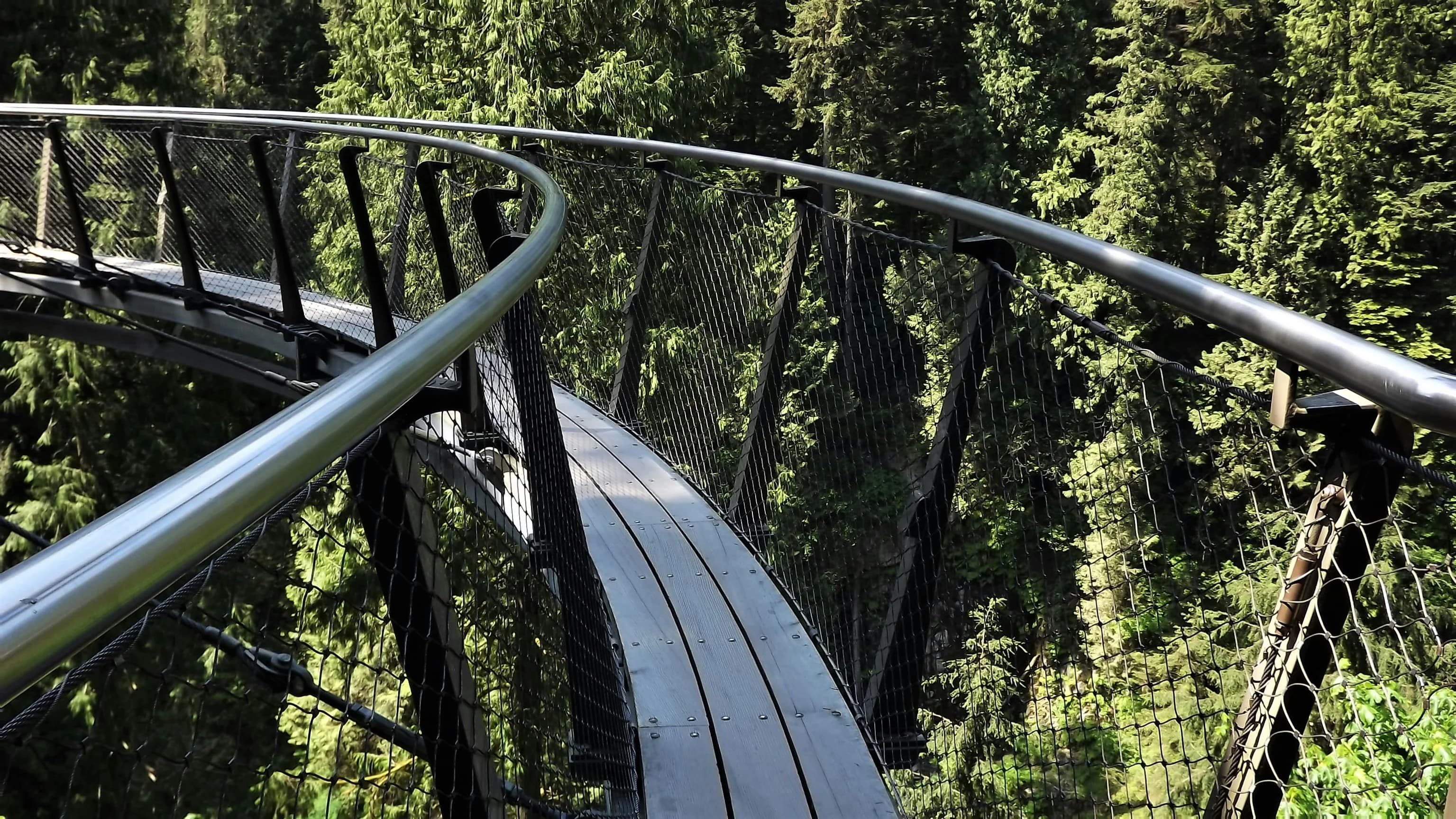 Capilano Suspension Bridge Park