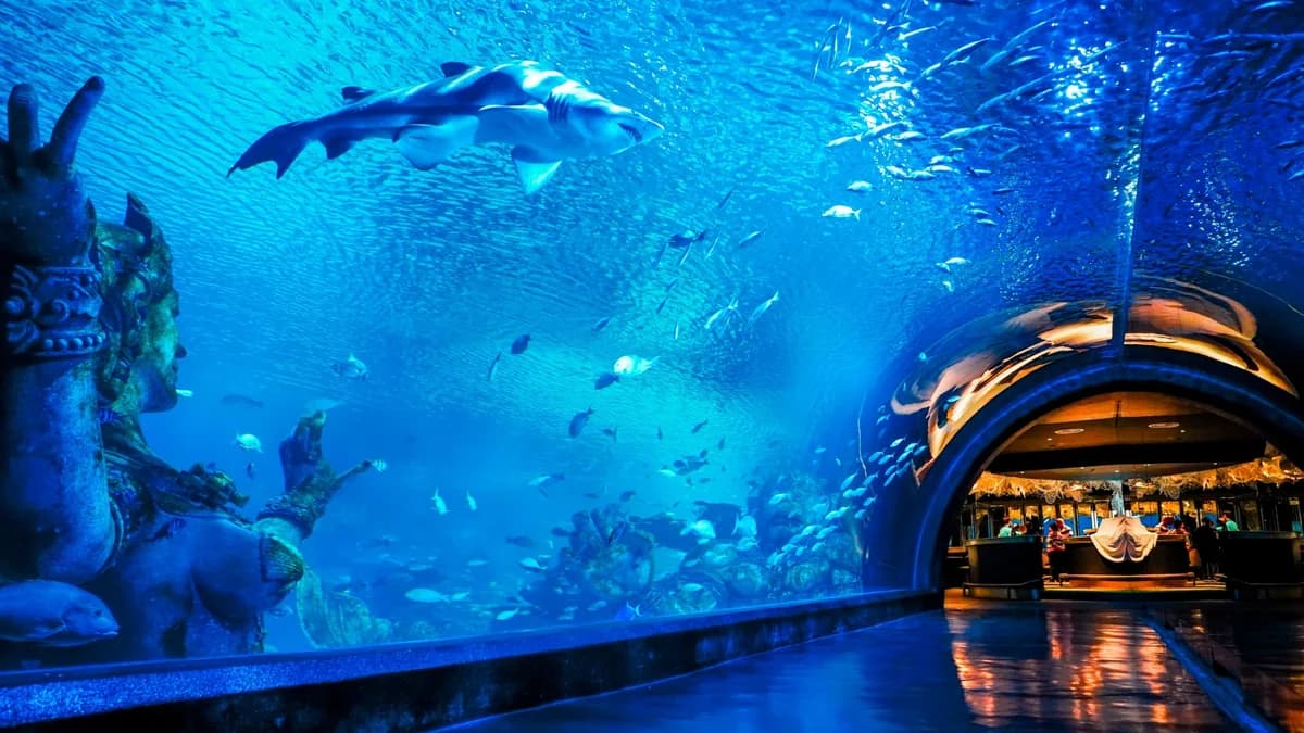Phuket Aquarium