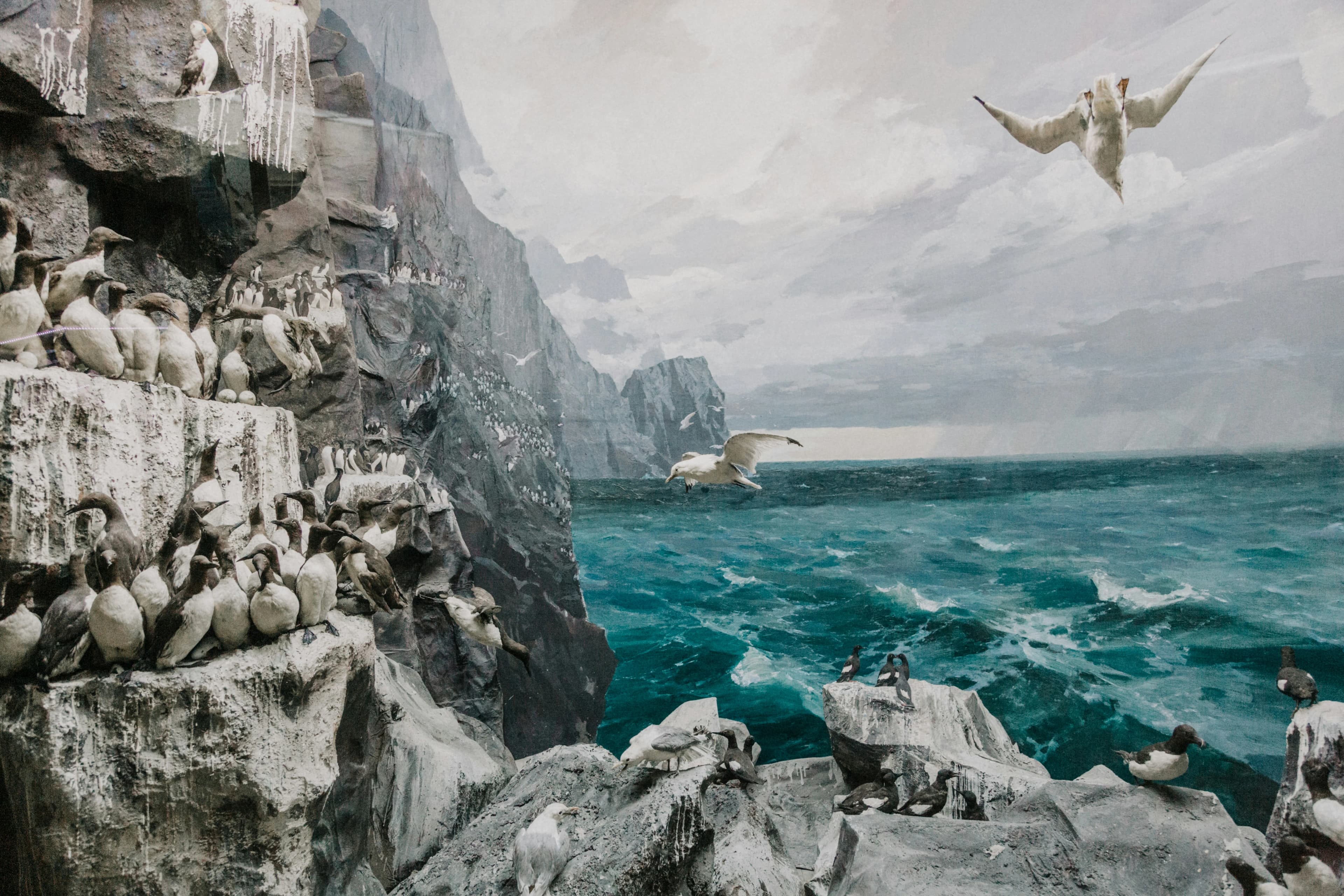 Museum of Natural Sciences